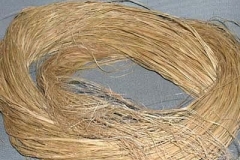 Fibers-obtained-from-China-grass