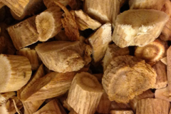 Dried-stems-of-Chinese-asparagus