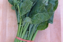 Leaves-of-Chinese-broccoli