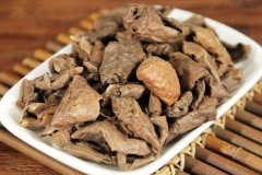 Fruit-Bark-of-Chinese-hickory
