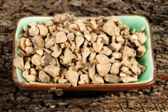Roots-of-Chinese-knotweed