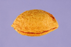Seed-of-Chinese-Plum