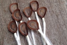 Chinese-violet-seeds