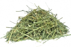 Dried-Chiretta