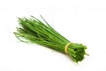 Leaves-of-Chives