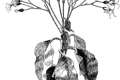 Sketch-of-Chou-Wu-Tong