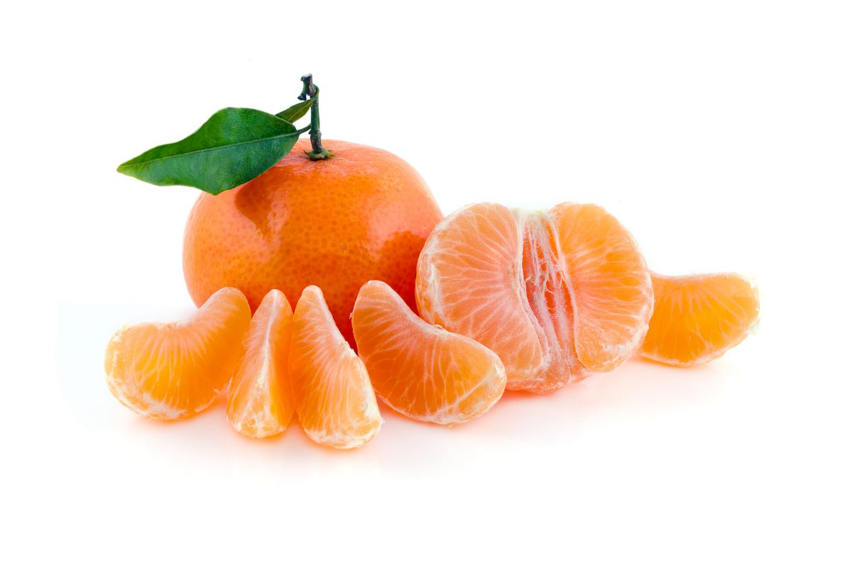 Clementine-segments