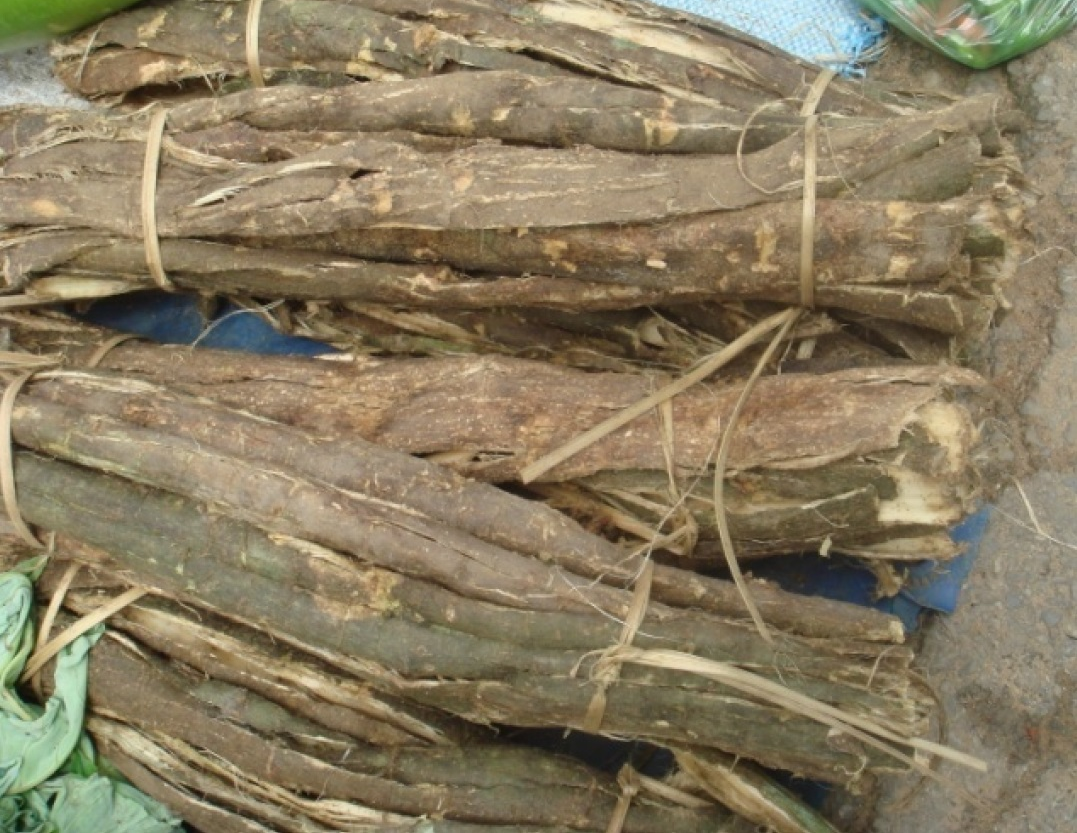 Dried-stem-bark-of-Climbing-wattle