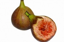 Cluster-fig-cut
