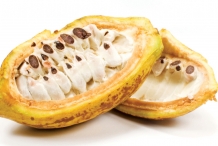 Cocoa-bean-fruit-cut