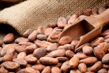 Cocoa-beans