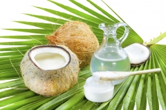 Coconut-oil-Coco Palm