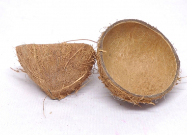 Coconut-shell