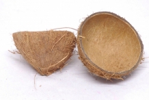 Coconut-shell