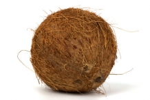 Coconut