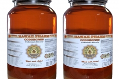 Liquid-extract-of-Codonopsis