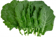 Leaves-of-Collard-greens