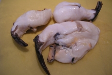 Conch-meat