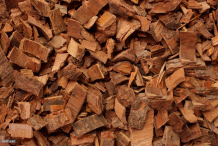 Bark-of-Coral-tree