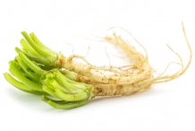 Coriander-roots