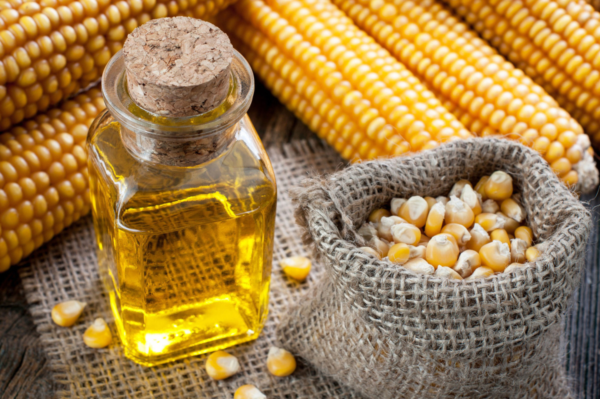 Corn-oil-Maize