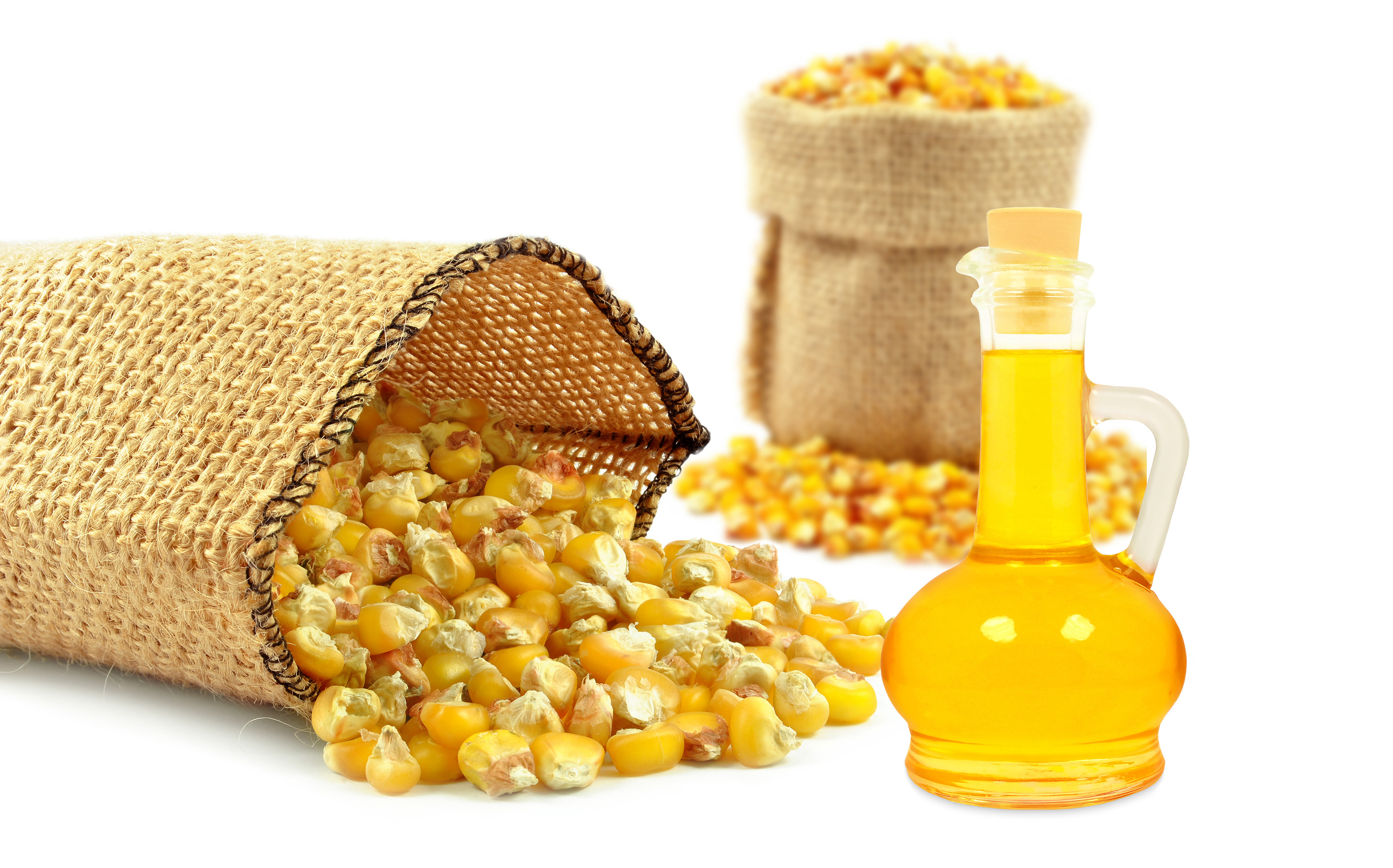 Corn-oil-Arto