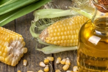 Corn-oil-Turkey wheat