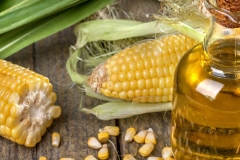 Corn-oil-Turkey wheat