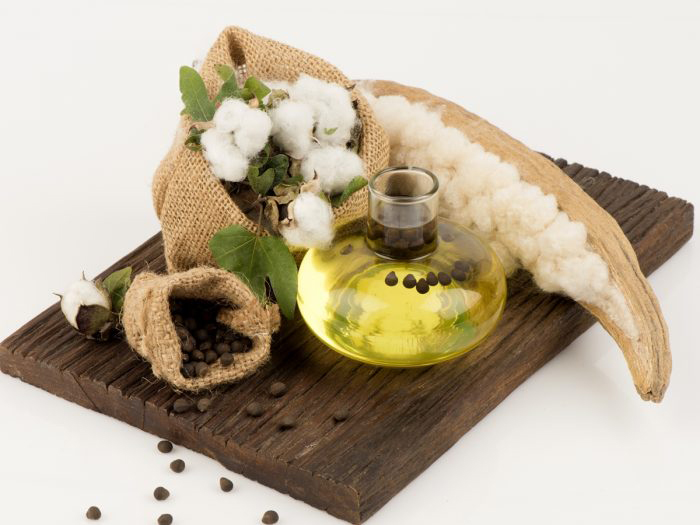 Cottonseed-oil-1