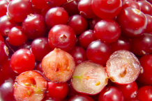 Cranberries