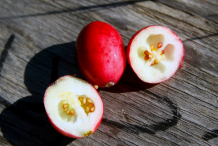 Half-cut-cranberry-showing-small-seeds
