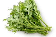 Crown-daisy-leafy-greens