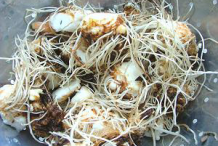Cuckoo-Pint-Root