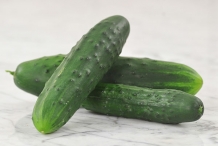 Cucumber