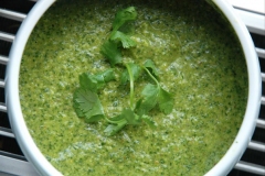 Culantro-Pesto