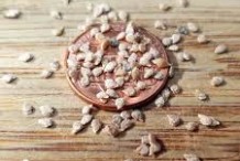 Seeds-of-Currant-Tomato