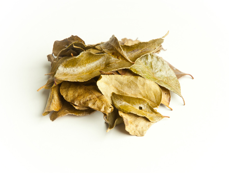 Dried-Curry-leaves