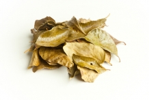 Dried-Curry-leaves