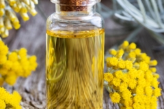 Curry-plant-essential-oil