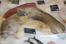 Cusk-fish-with-fillet-for-sale