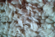 Custard-apple-pulp