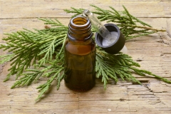 Cypress-Essential-Oil