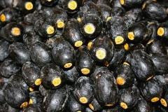Ripe-Dabai-fruit