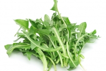 Dandelion-greens