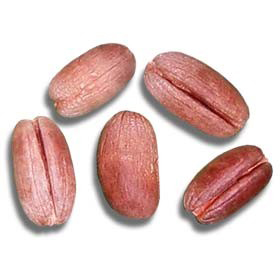 Date-seed-2