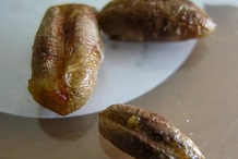 Date-Seed-5