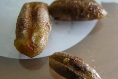 Date-Seed-5