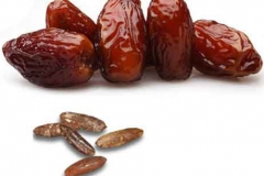 Date-Seed-9