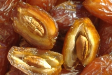 Half-cut-Dates