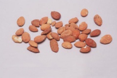 Seeds-of-Davids-plum